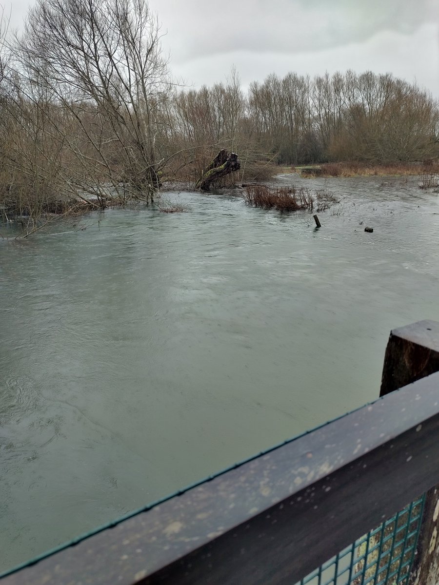 Barbaramarks_13's tweet image. Dampish out this morning #SundayMorning #ClickAndCollect