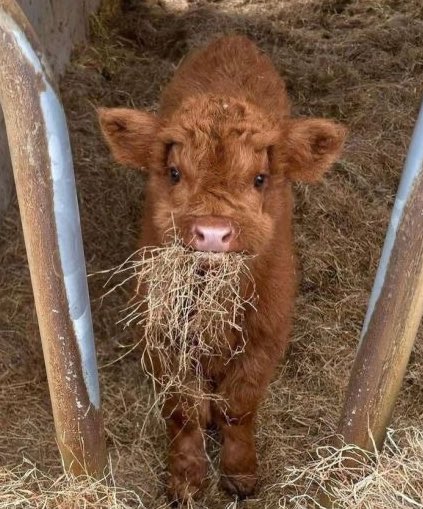 300moods's tweet image. 