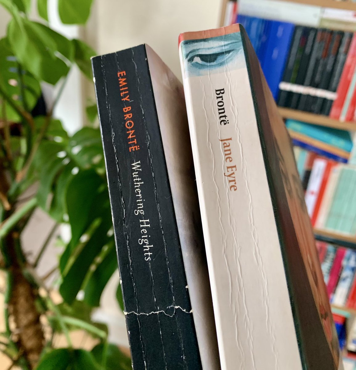 Dr David Vernon tweet media