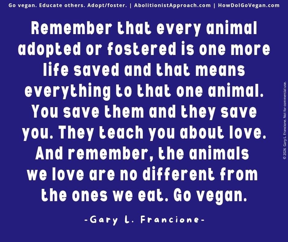Adoption is the best way to add love to your life at the same time you do the right thing by animals.

AbolitionistApproach.com
HowDoIGoVegan.com