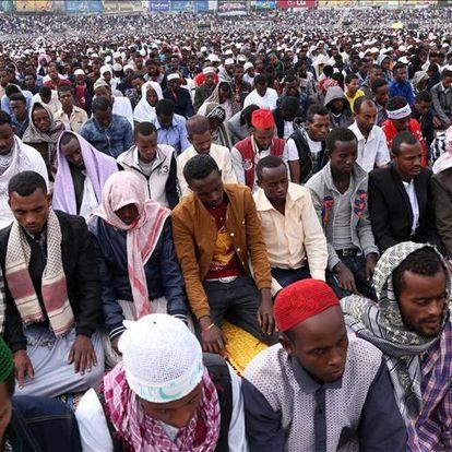 Abrar Suleiman/አብራር ሱሌማን tweet media