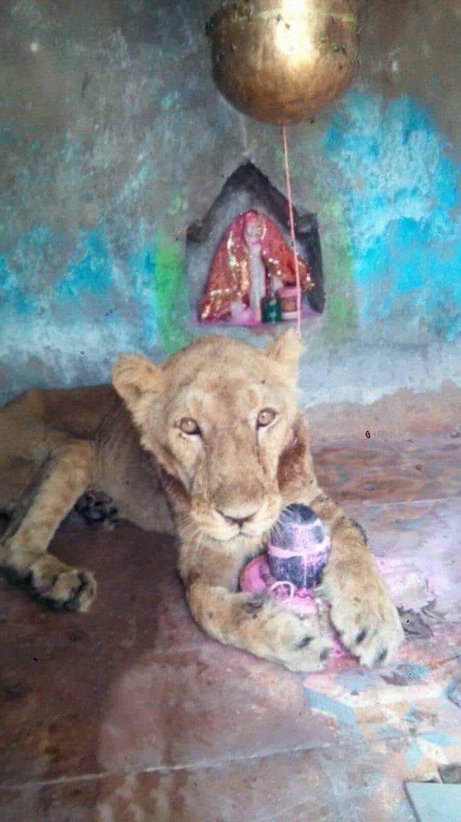 Dr. Anshuman Sharma, IFS tweet media