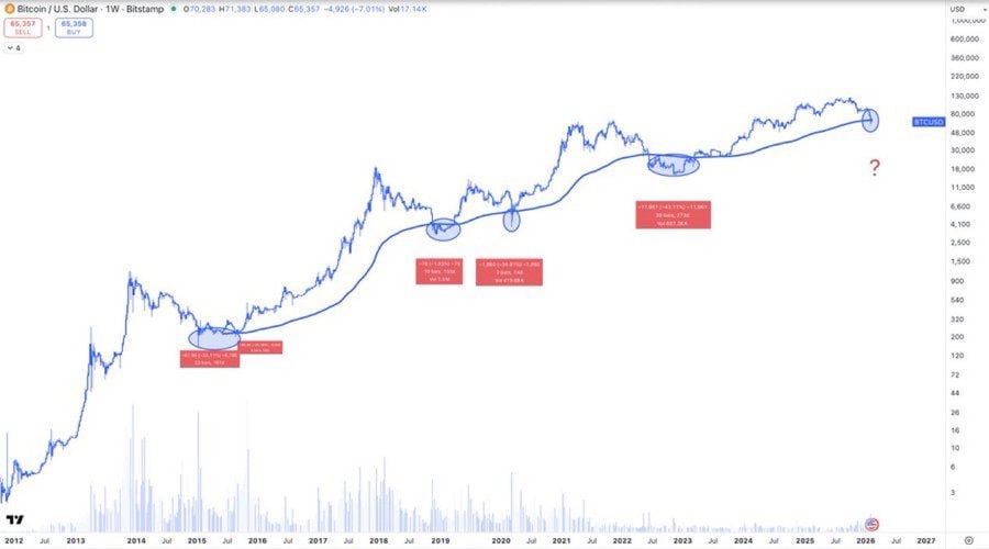Catalina Castro tweet media
