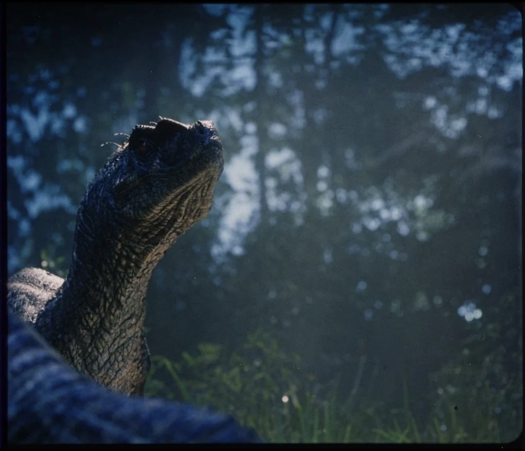 Jurassic Park 3 (2001) open matte