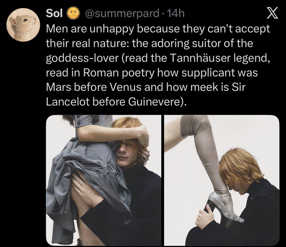 ☀️AliquisNovus☀️ tweet media