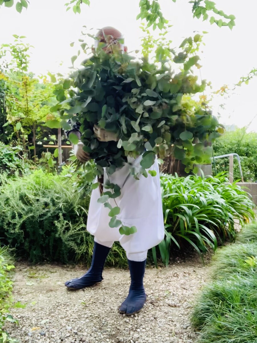 いまいたろ tweet media