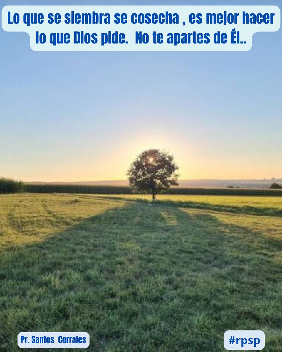 PROFECÍA:”Jehová sacudirá a Israel al modo que la caña se agita en las aguas; y él arrancará a Israel de esta buena tierra que había dado a sus padres, y los esparcirá más allá del Éufrates, por cuanto han hecho sus imágenes de Asera, enojando a Jehová” 1 Reyes 14:15 #rpsp .