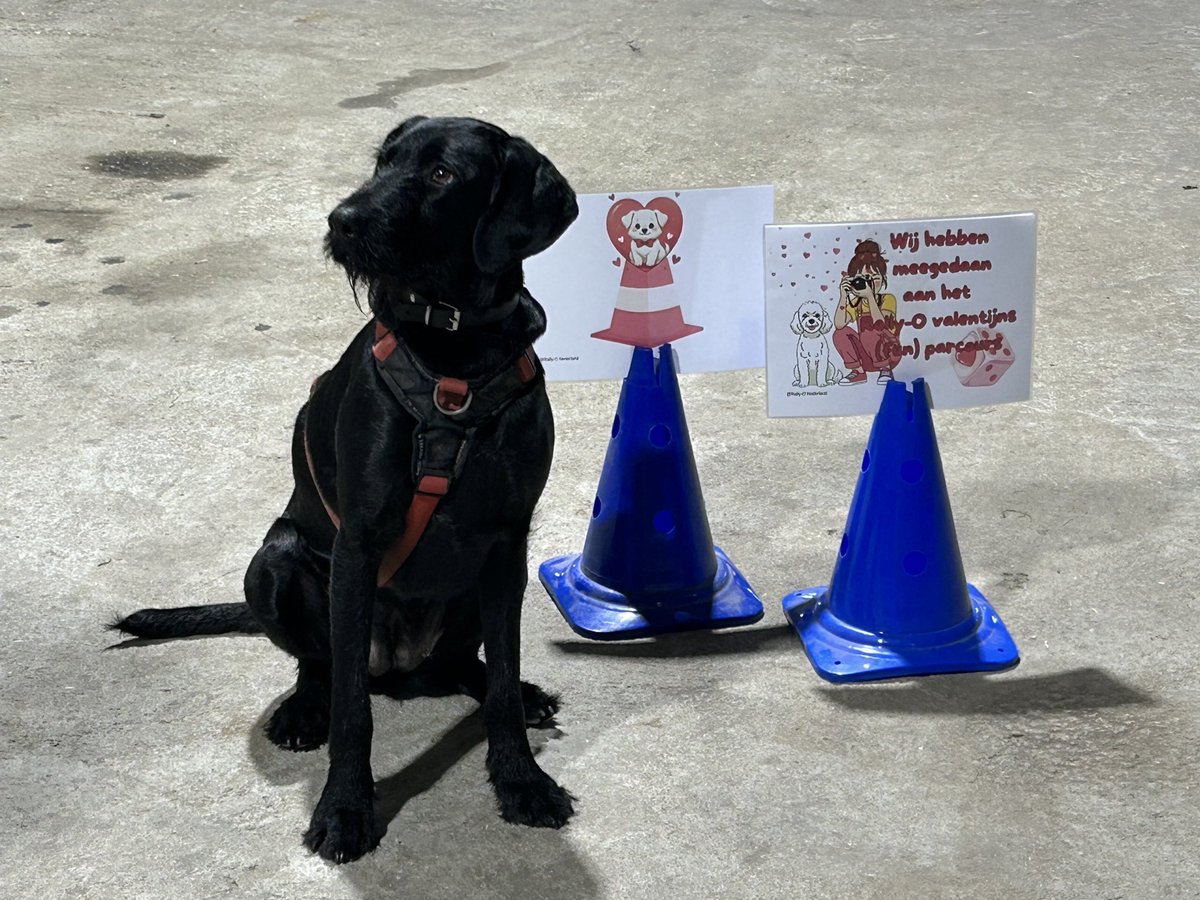 SCHOOLMAS's tweet photo. Lola heeft haar best gedaan 🥰 https://t.co/u47nG1W0sV