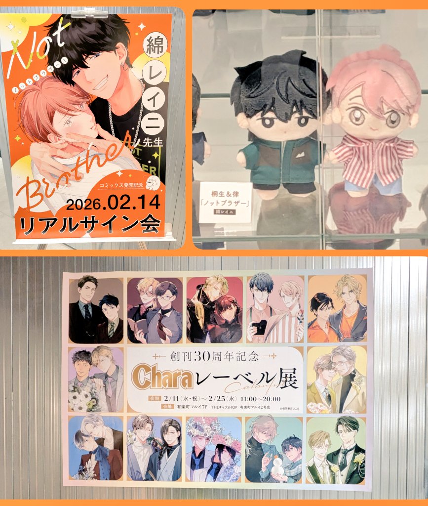 バレンタインは綿レイニ @wata_soft 先生のサイン会でした🎋 久し振り