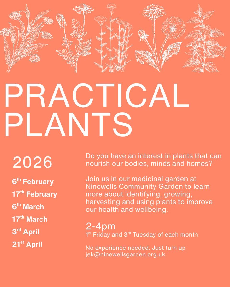 Ninewells Garden tweet media