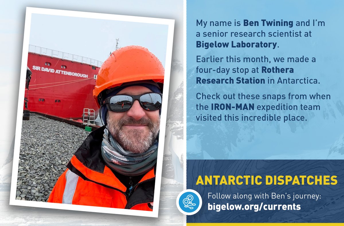 Bigelow Laboratory tweet media