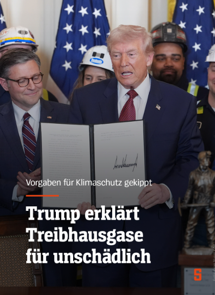 THOMAS SUTTER the real ZÜRCHER STADTFUX tweet media