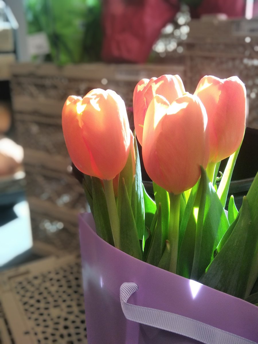 Sonia Zuccaro tweet media