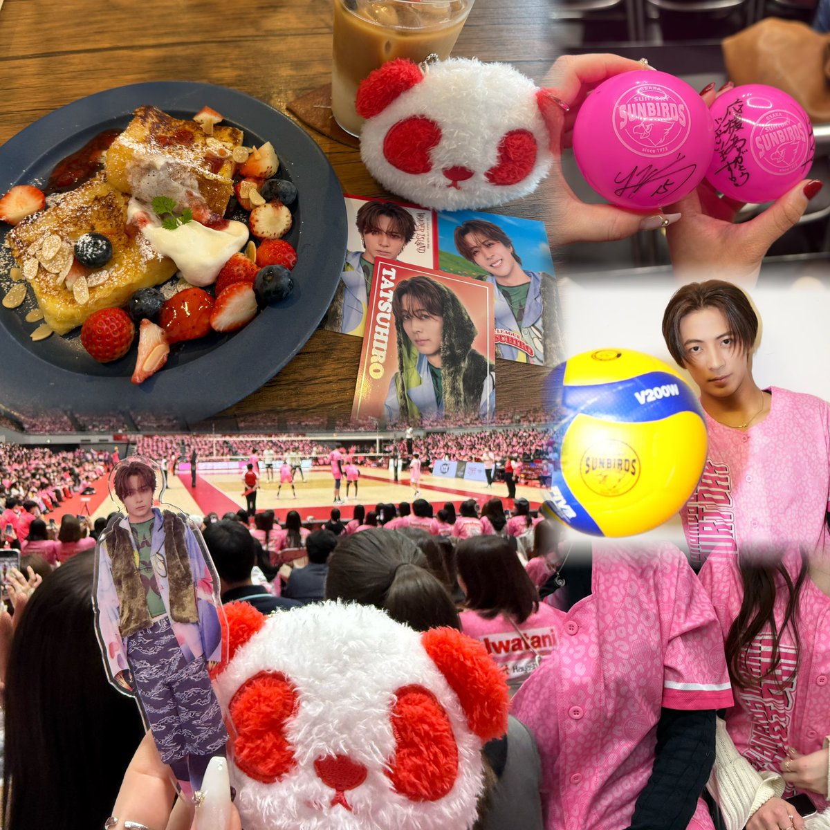 ____t2hrluvs2's tweet photo. 2026.02.15 Sunday 🏐✨🩷

『SUNTORY SUNBIRDS OSAKA "PINK COURT DAY"』
リルの会場全体を巻き込むパフォ&amp;煽り最高👏🏻💯✨
最後サインボール投げてくれた時になんと
2個もGETする奇跡！！！
1つはお隣のリルフレさんにあげました🤝🏻✨
少しATL❣️

@LIL_LEAGUE_ 
#LILLEAGE 
#サントリーサンバーズ大阪 https://t.co/gSaELAeXyf
