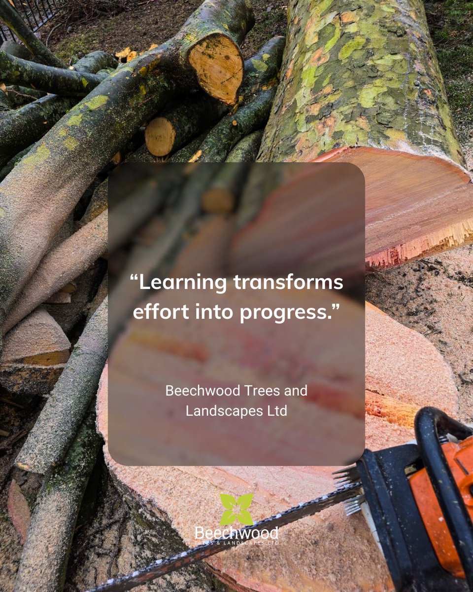 BossBeechwood's tweet image. Every effort counts when you’re willing to learn from it.

Turn hard work into growth. 🌱

#GrowthMindset #KeepLearning #ProgressDaily