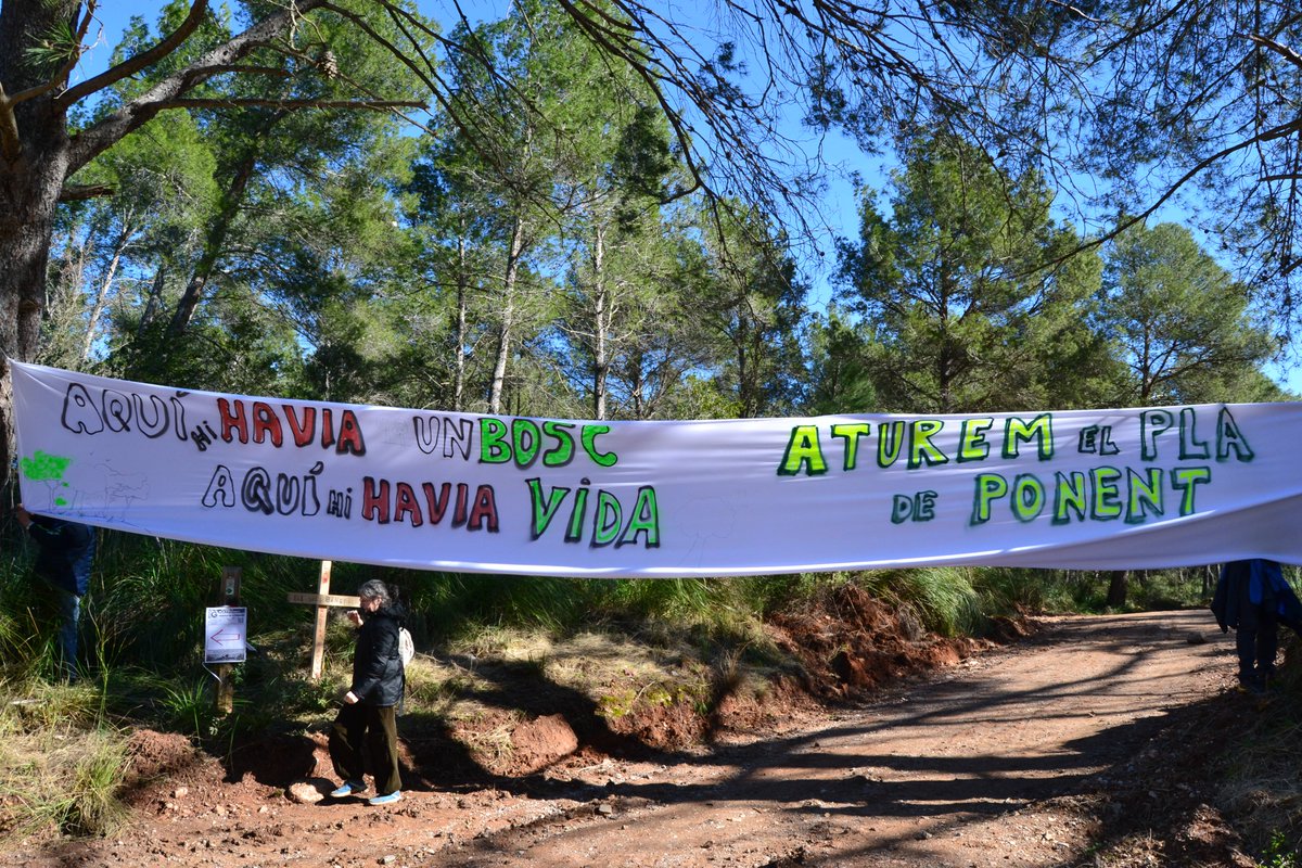 Aturem el Pla de Ponent tweet media