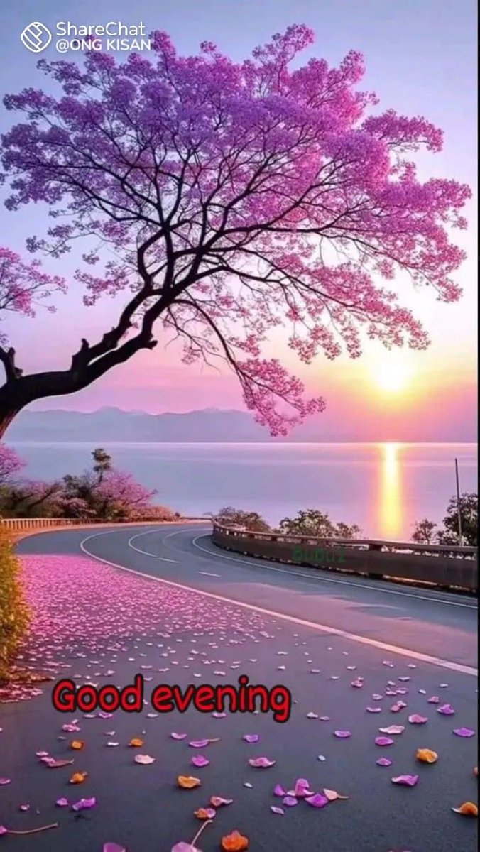 Good evening
Hope your day was wonderful. ✨