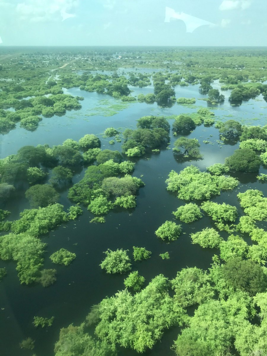 This is how calm River Nile runs through South Sudan. It hasn't been put to its full potential yet.

South🇸🇸Sudan, a country of great wonders but it's only been known for one thing.