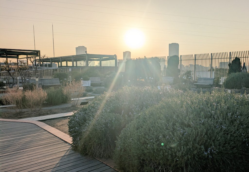 圧倒的博物館…！
絶滅展のついでにハンチョウ53話の聖地巡礼。シアター36◯も見れたし、最後は夕日のハーブガーデンも来れて完璧な立ち回りだった。付き合ってくれた友達に感謝…！