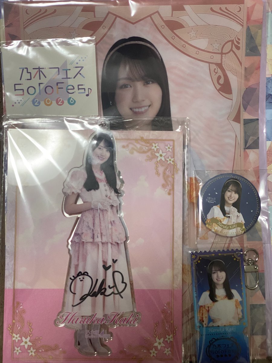 昨日は乃木フェスの賀喜遥香さんのソロフェス行ってきました✨控えめに