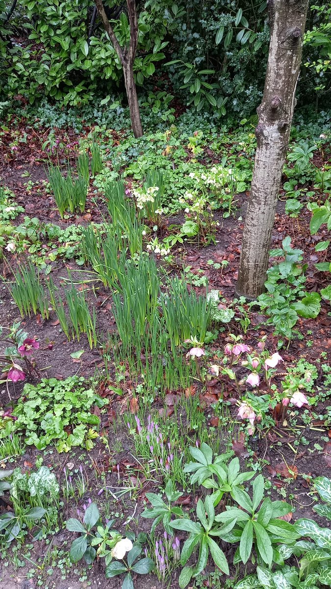 Friends of Roundhay Park tweet media