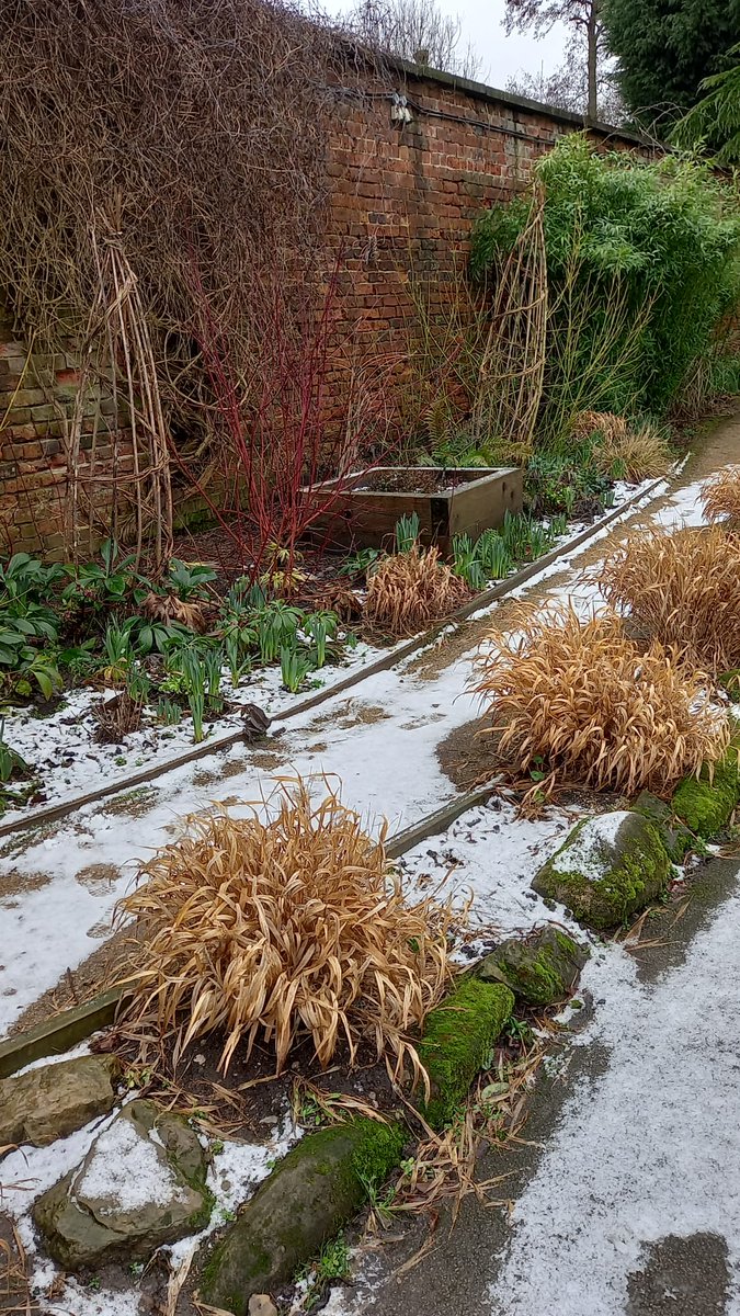 Friends of Roundhay Park tweet media