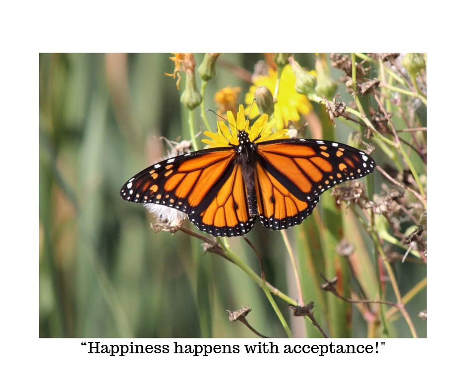 Ray for the day ~ "Happiness happens with acceptance!"