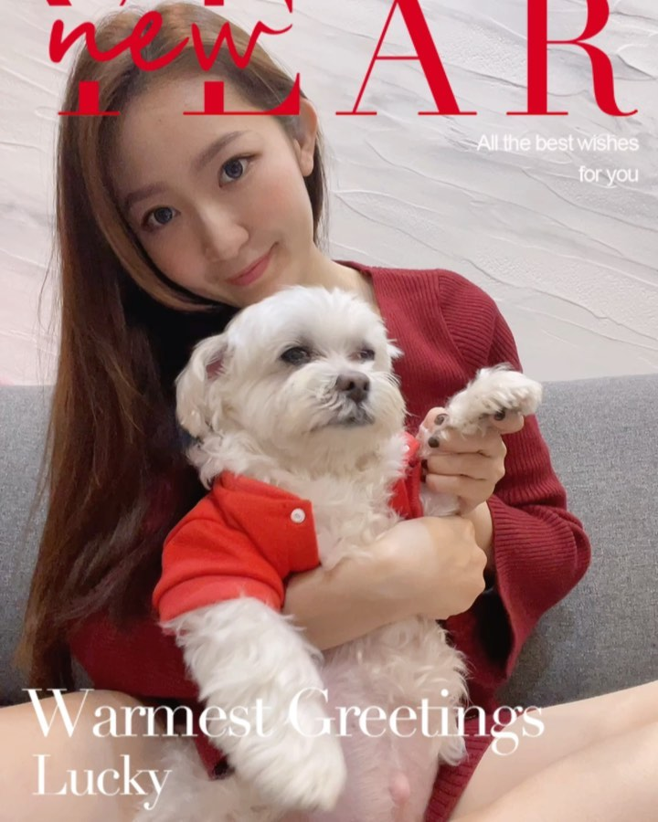 huacaiuuu's tweet photo. 过年胖三斤🥰 给大家做了张新年贺卡，祝大家新年快乐，马到成功！！！

话说穿那么喜庆坐上面会不会更有感觉啊，有人想试试吗… https://t.co/viyVkrEgeW