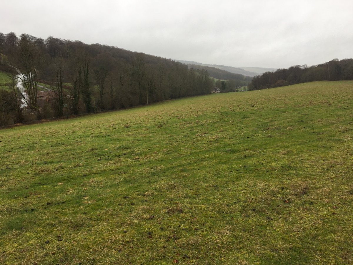 Peter Weedon tweet media