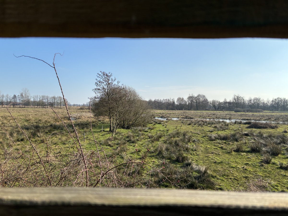 Jan Westert tweet media