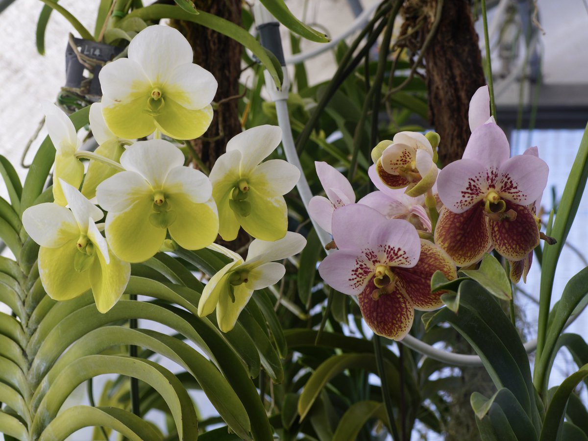 akigo (@akigo08) / Posts / X