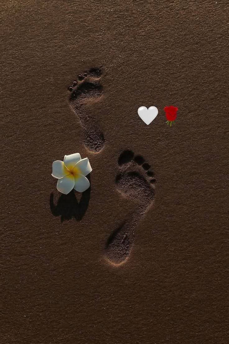 निशानियाँ तो रह जाती हैं, मगर साथ नहीं रहता, 👣🥀
रेत पर बिखरे फूलों का अब कोई वारिस नहीं रहता 🌑💔