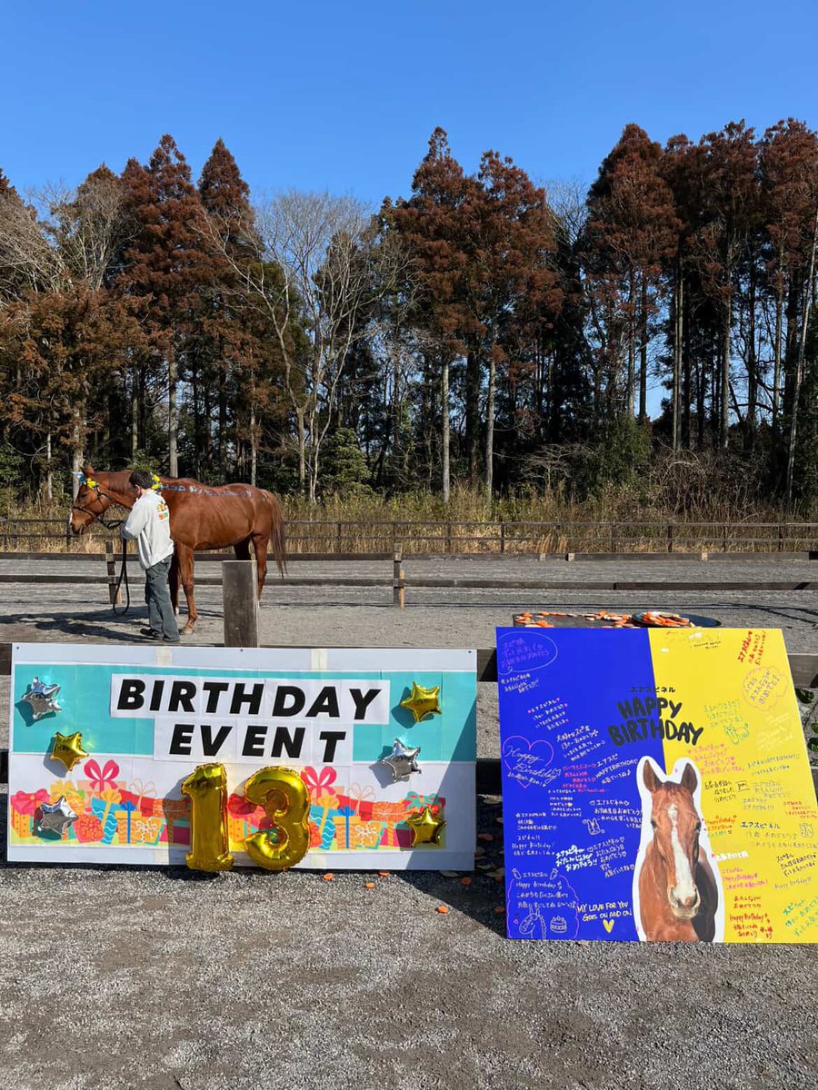 umanmapark's tweet photo. エアスピネルの誕生日イベント
本日無事終了しました🎉

お祝いに駆けつけてくださった皆様
本当にありがとうございました😭✨
去年よりは来てくれたらいいなぁと
スタッフで話していましたが
なんと80名以上の方に
ご参加いただきました🎂

エアスピネルは
ぶっつけ本番にも関わらず
終始落ち着いていて
皆さんが作ってくれたケーキを食べられ
(ケーキの部分だけ避けてました)
皆さんに優しく撫でてもらえて
とても幸せそうな表情が印象的でした☺️

現役時代にエアスピネルの
ファンだった方へ！

彼は今も元気に毎日を
過ごしていますので安心してください☺️
現役時代には知ることがなかった
色々な人の手のぬくもりや
今まで食べたことのなかった
美味しいもの、
見たことのなかった景色を
感じながら生きています😌

13歳になった今年も
またエアスピネルのペースで
皆様に癒しを届けられるように
そして彼自身が幸せと思える時間を
過ごせるように
私たちも精進してまいります。

改めて、エアスピネル
13歳の誕生日おめでとう🎁

#うまんまパーク
#バースデーイベント