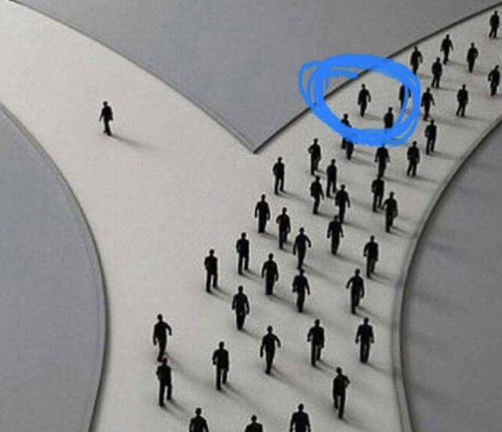 buyucuzeyn tweet media