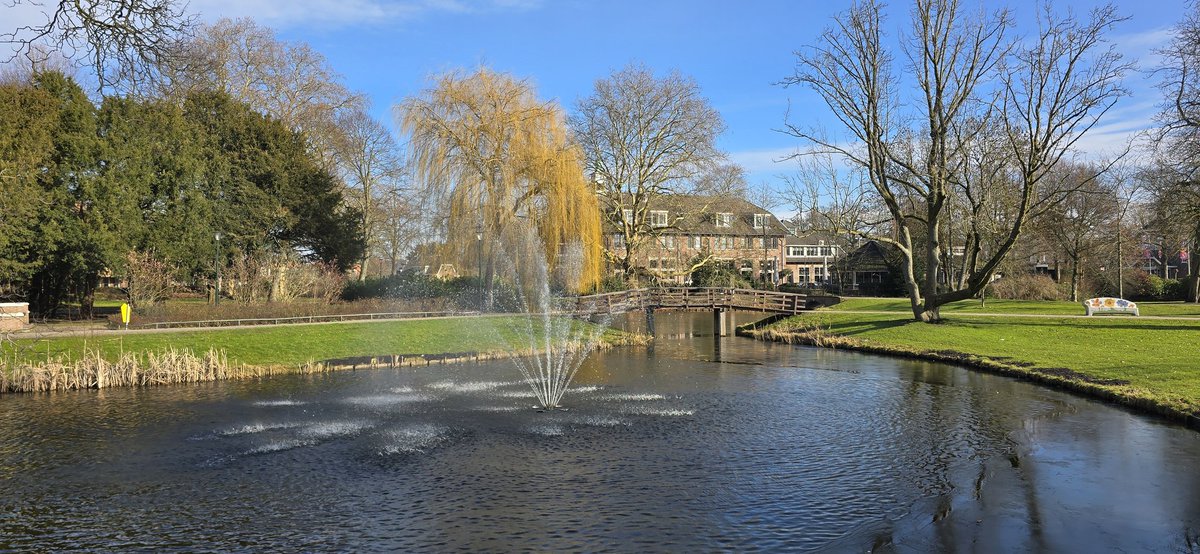 Martin Lamboo tweet media