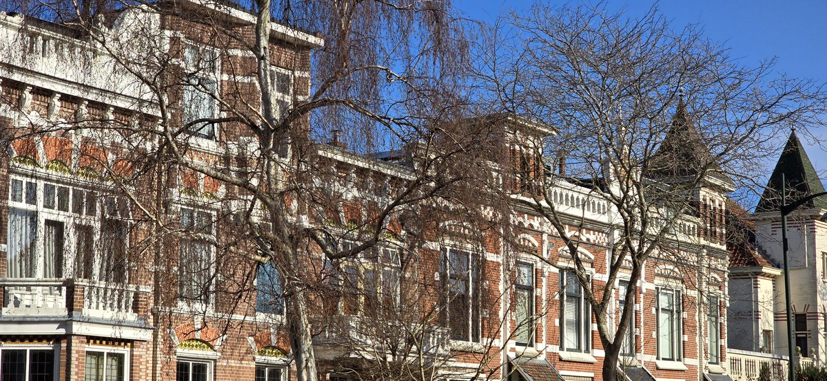 Martin Lamboo tweet media