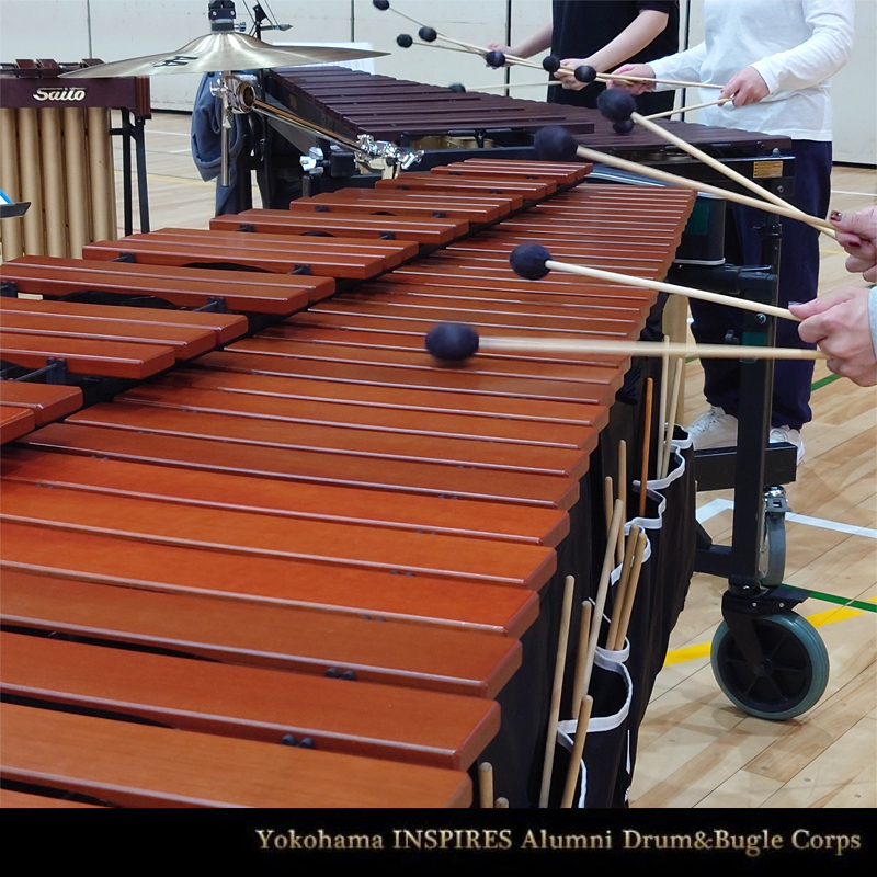 本日は気温が上がり、春の訪れを感じる中、練習を実施しました。

現在、2026年度メンバーを募集しております。
直近の練習日は3/1、3/15となります。
見学をご希望の方は、HP内フォームよりお申し込みください。
inspiresalumni.jp/joinus