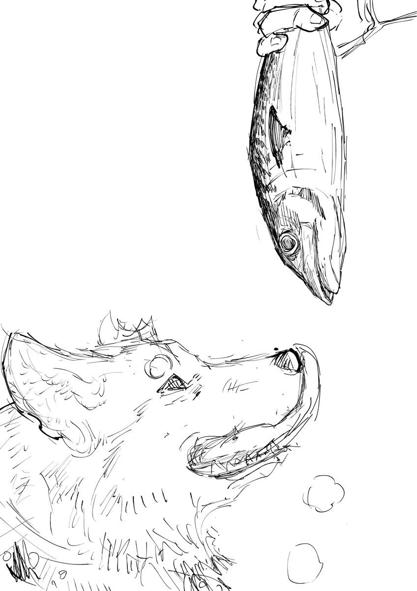 那波 歩才/Fusai Naba tweet media