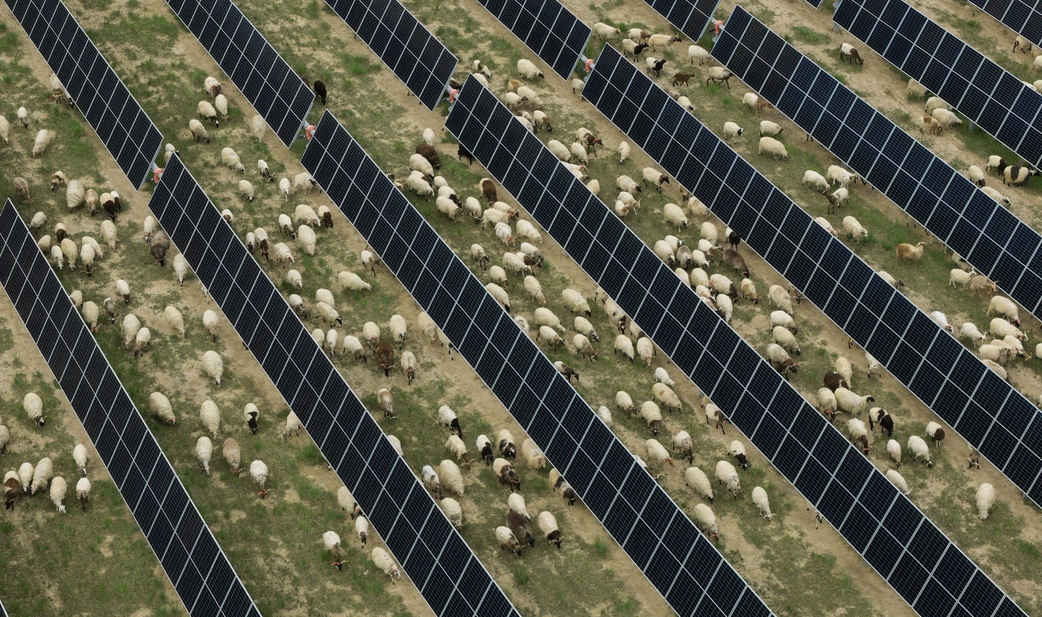 Carl Zha (@CarlZha) on X