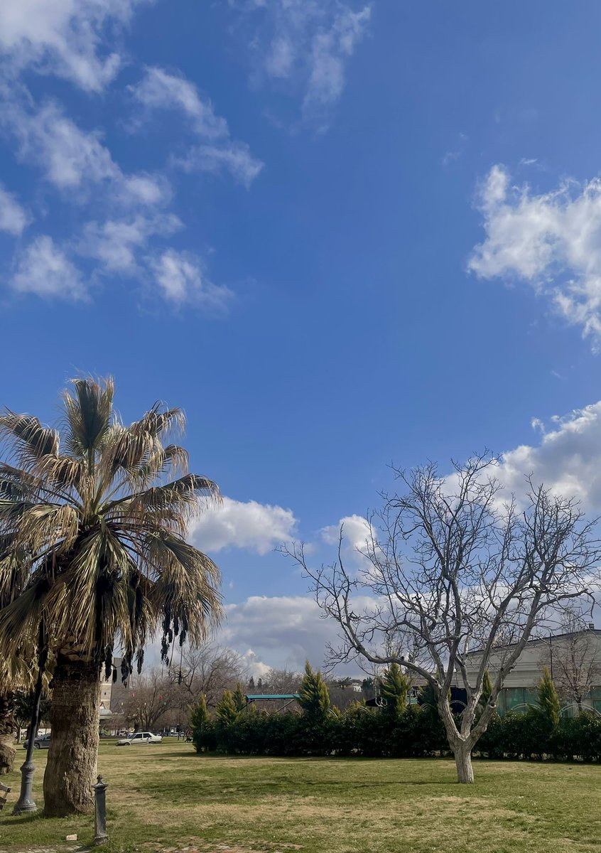 Günlerdir kapalı ve yağmurlu havalardan sonra bahar havası gibi bir gün🌞