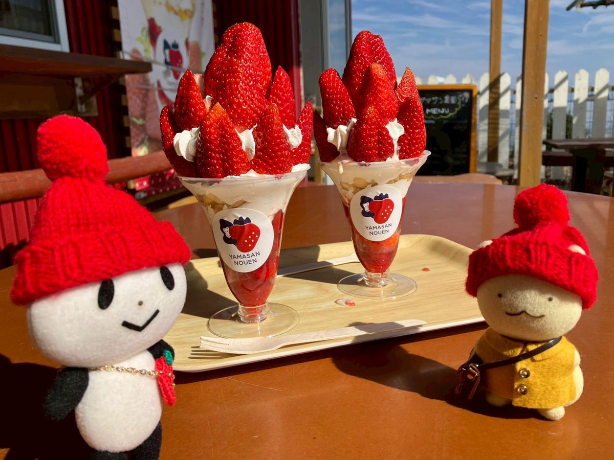 すずきさんが静岡に遊びに来てくれたよー！ようこそー！！たくさん楽しんでもらえたようでよかった😄また来てくださいね！