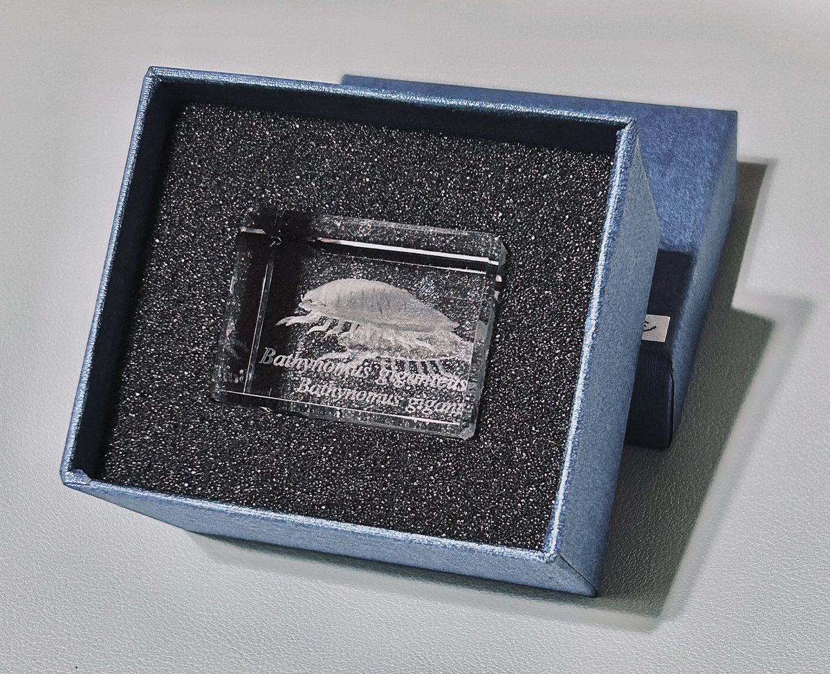 3Dクリスタルのダイオウグソクムシ 