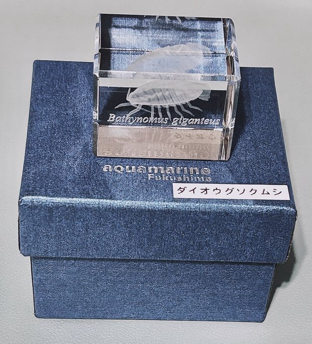 3Dクリスタルのダイオウグソクムシ 