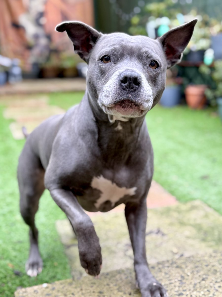 Isa Mary tweet media