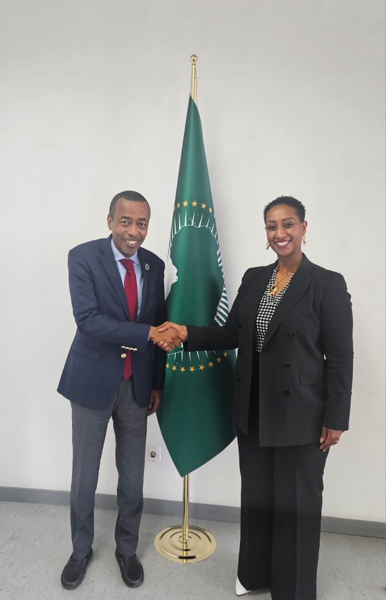 Amb Mohamed Idriss F tweet media