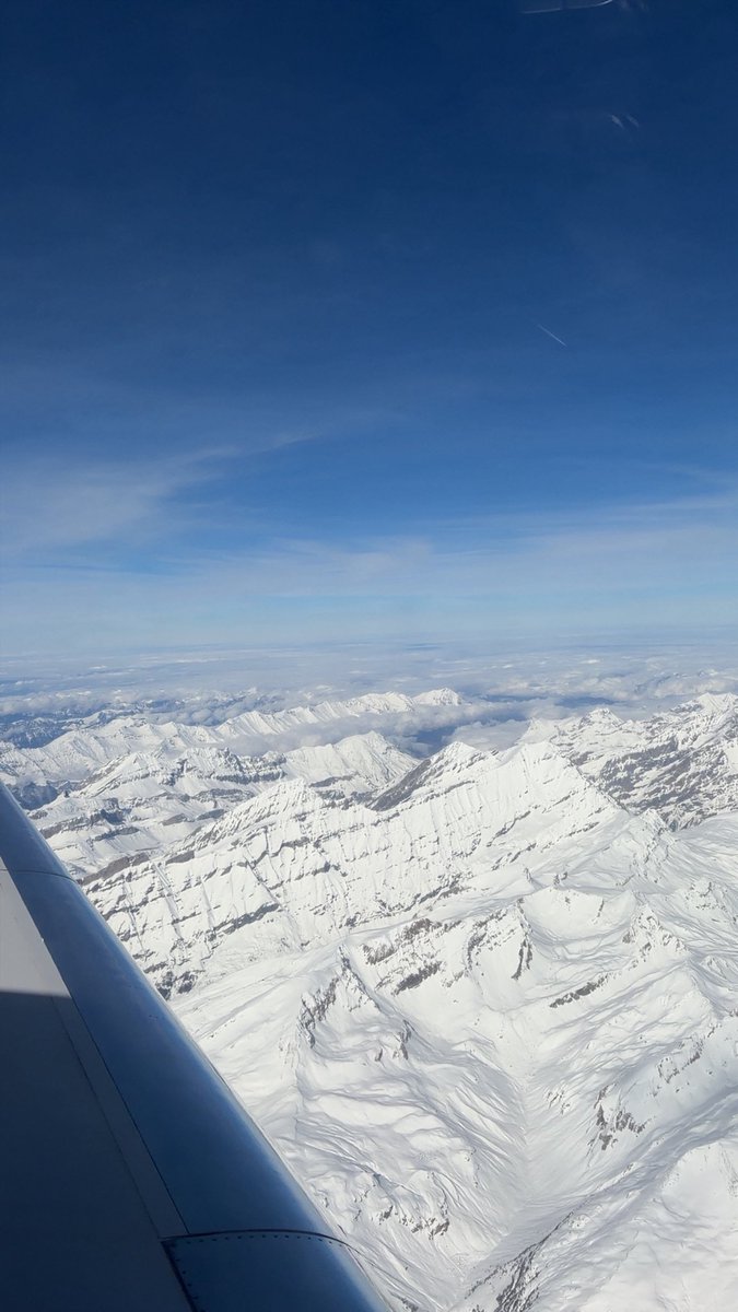 skier tweet media
