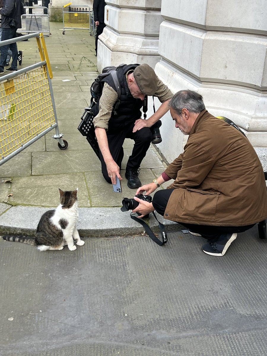 Stuart Webb tweet media