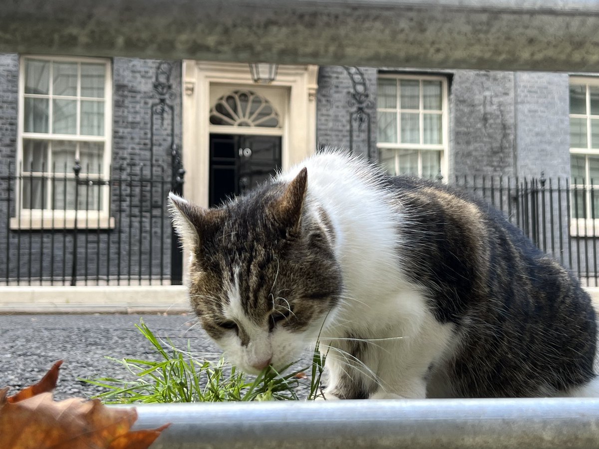 Stuart Webb tweet media