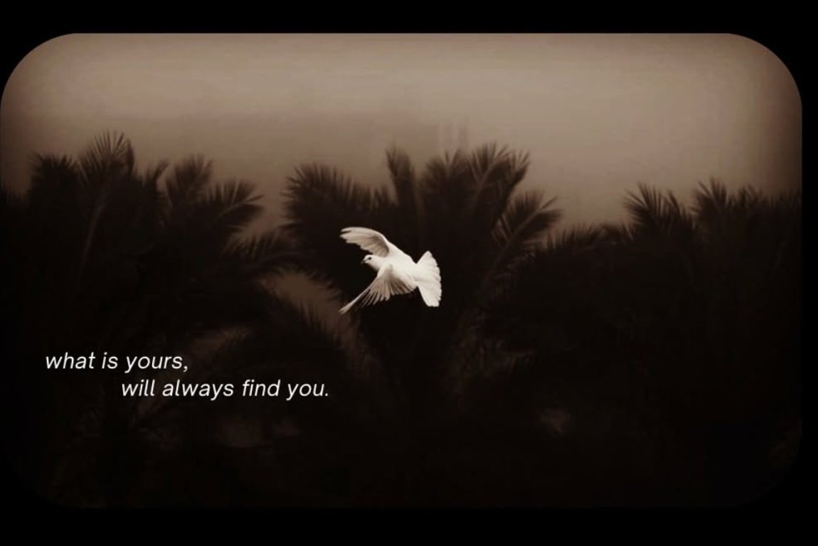 Jua 🪷 tweet media