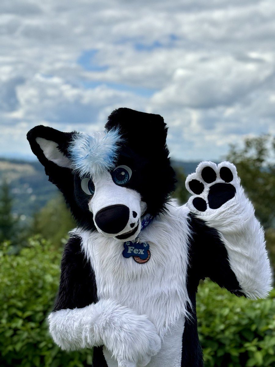 🐾 Fex 🐾 tweet media